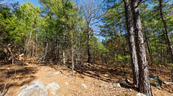 Stone Bridge Phase II Tract 124 in Latimer County, OK