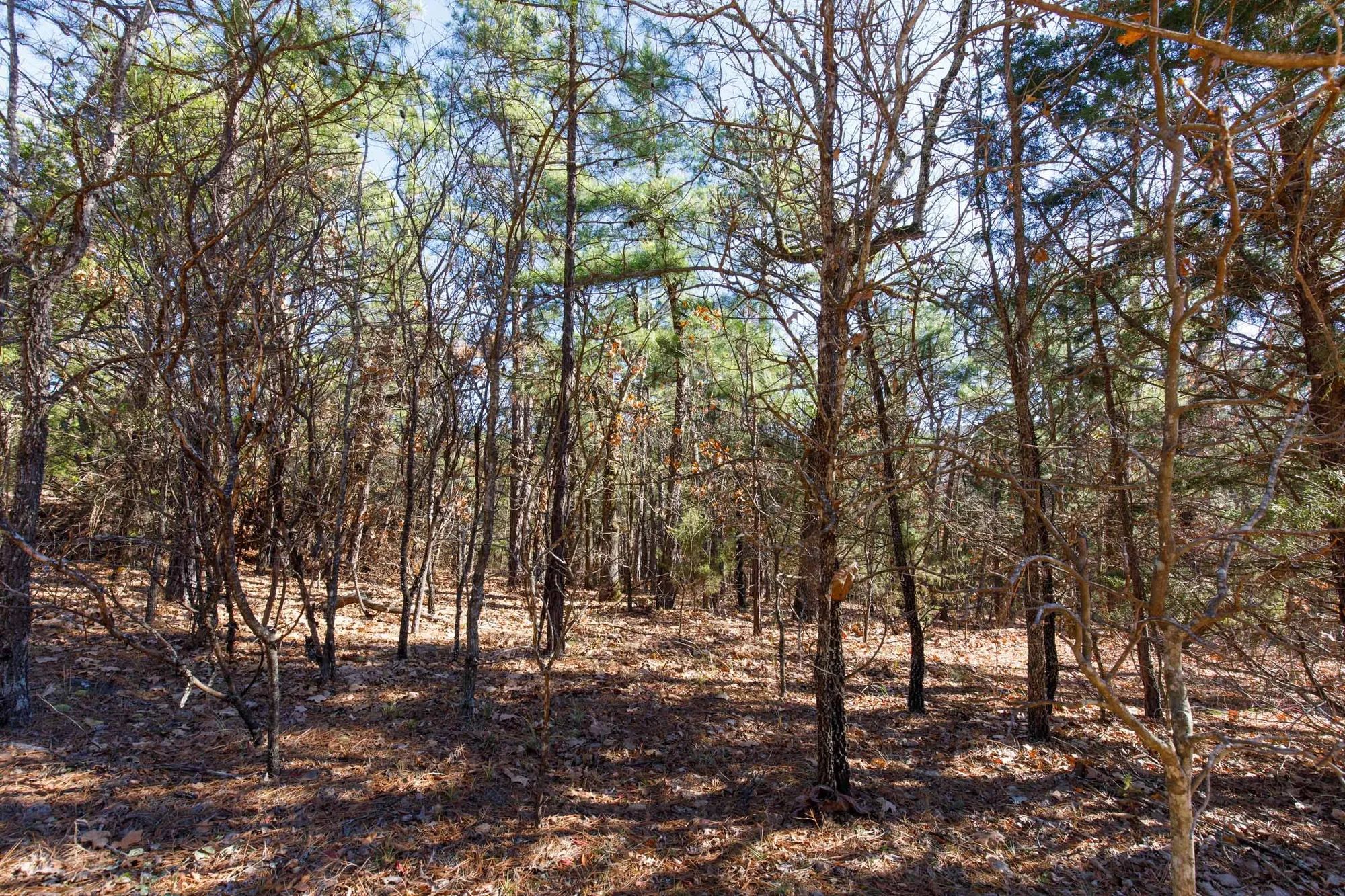 Stone Bridge Phase II Tract 124 in Latimer County, OK
