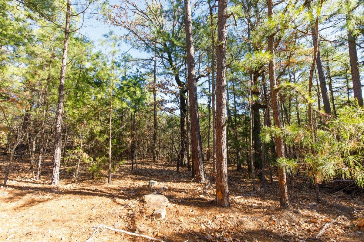 Decorative background for Stone Bridge Phase II Tract 124 image 5