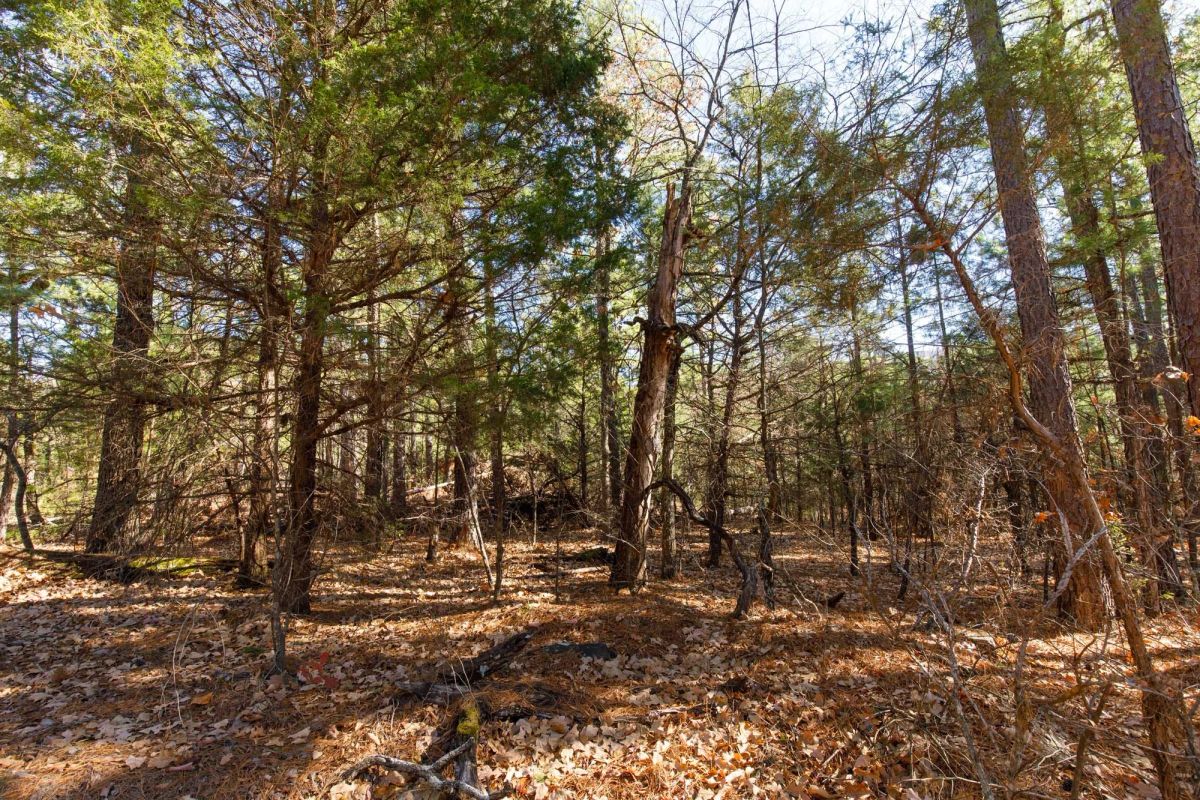 Decorative background for Stone Bridge Phase II Tract 124 image 6