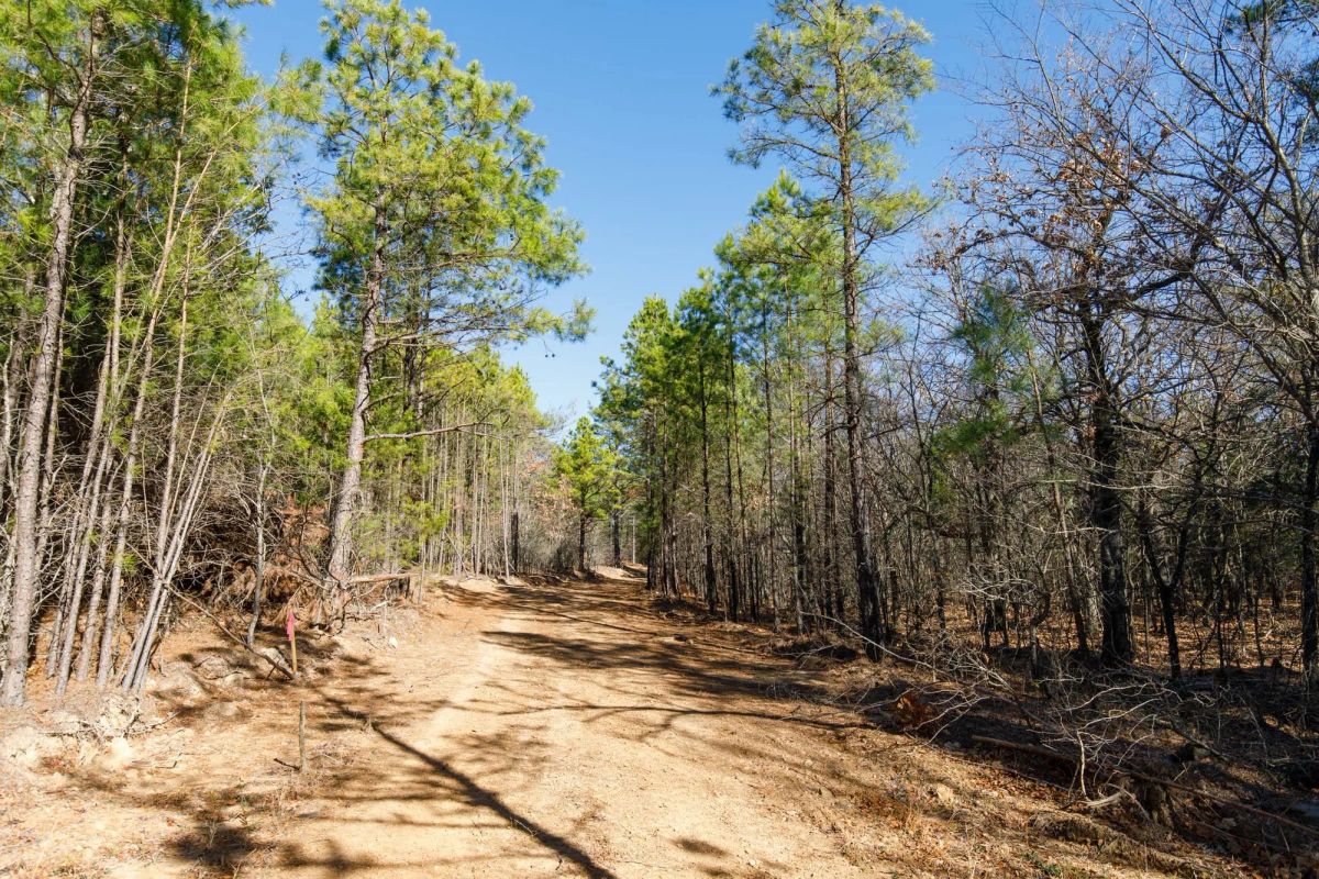 Decorative background for Stone Bridge Phase II Tract 124 image 8