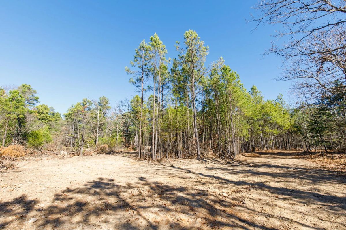 Decorative background for Stone Bridge Phase II Tract 124 image 9