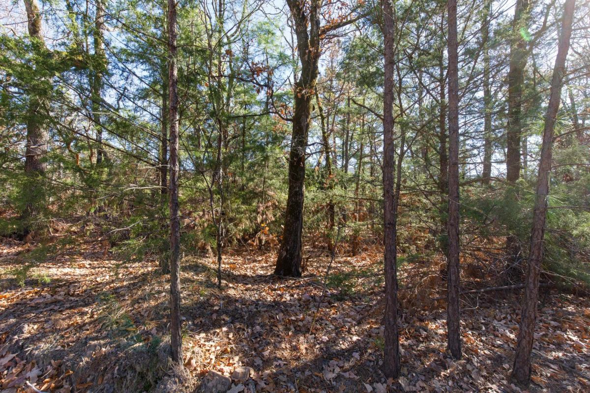 Decorative background for Stone Bridge Phase II Tract 124 image 10