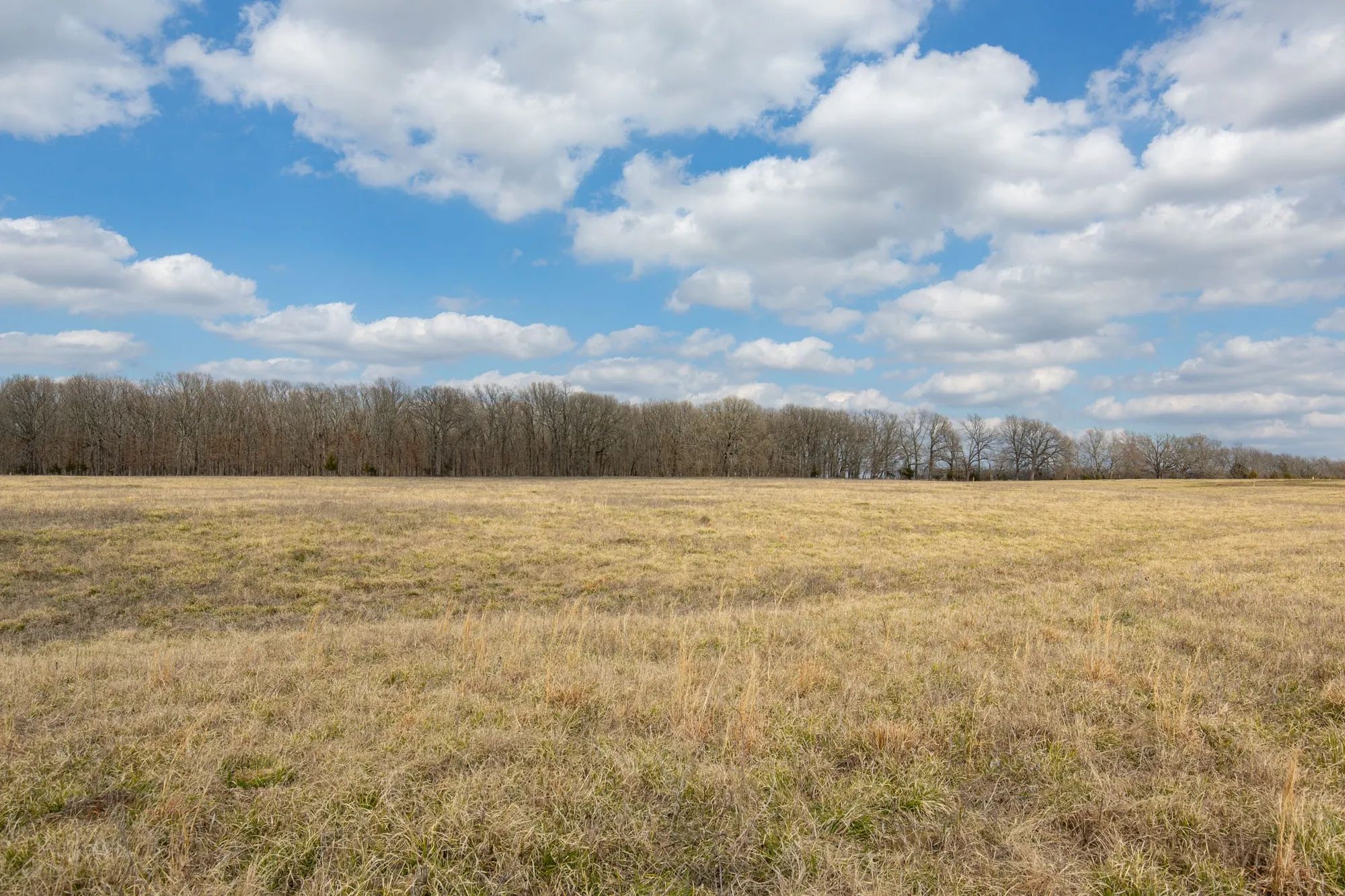 Wishing Star Ranch Tract 67 in Red River County, TX