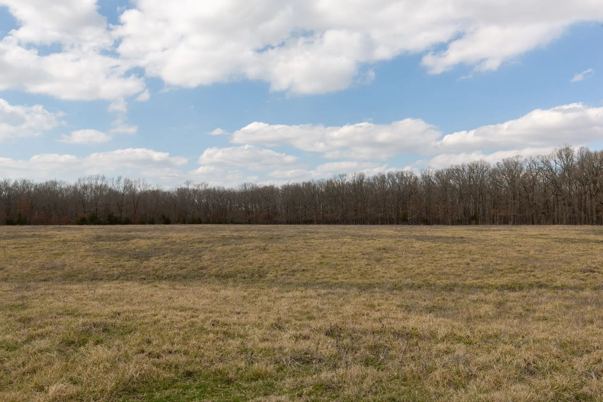 Wishing Star Ranch Tract 67 in Red River County, TX