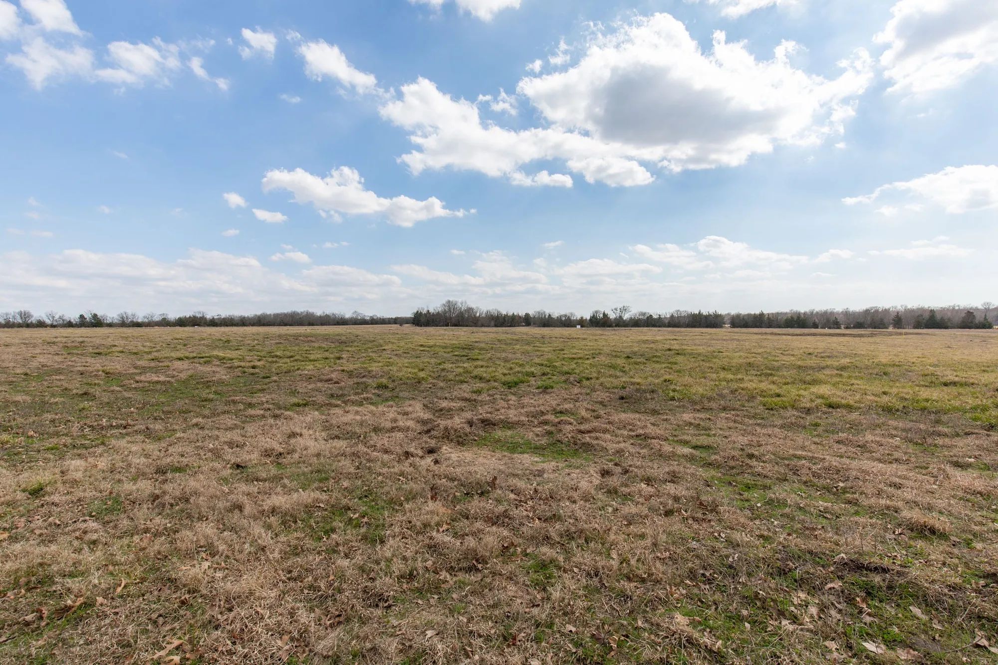 Wishing Star Ranch Tract 67 in Red River County, TX