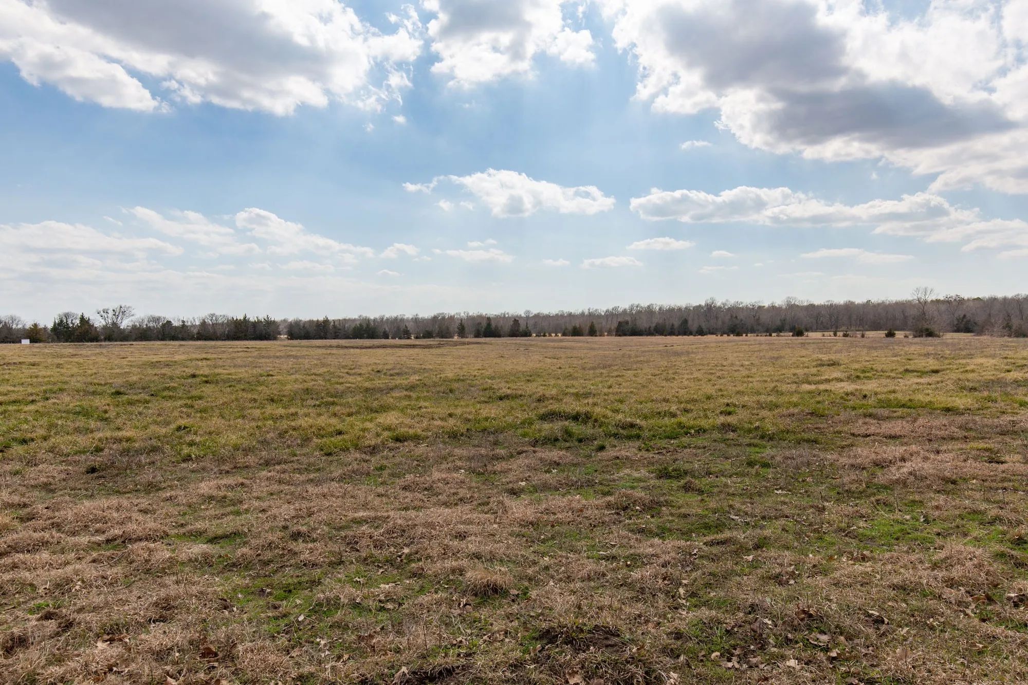 Wishing Star Ranch Tract 67 in Red River County, TX