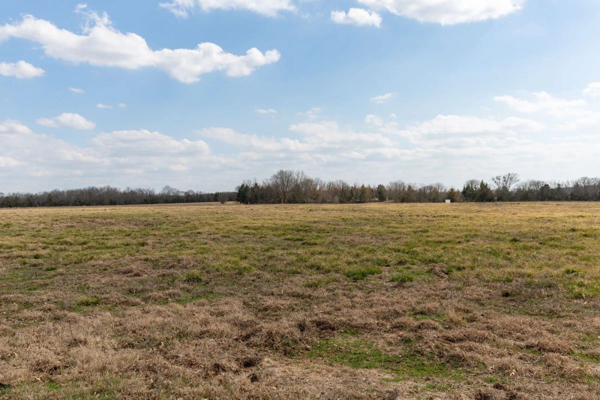 Decorative background for Wishing Star Ranch Tract 67 image 5
