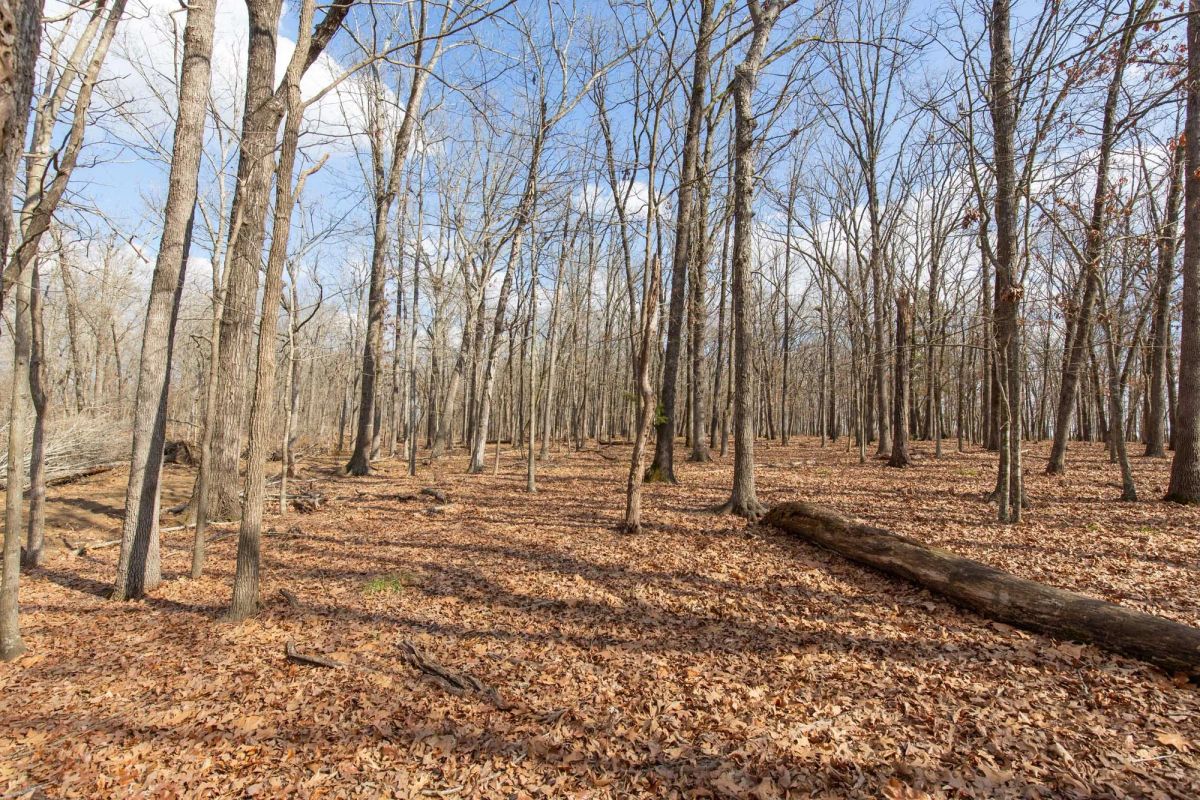 Decorative background for Wishing Star Ranch Tract 67 image 8