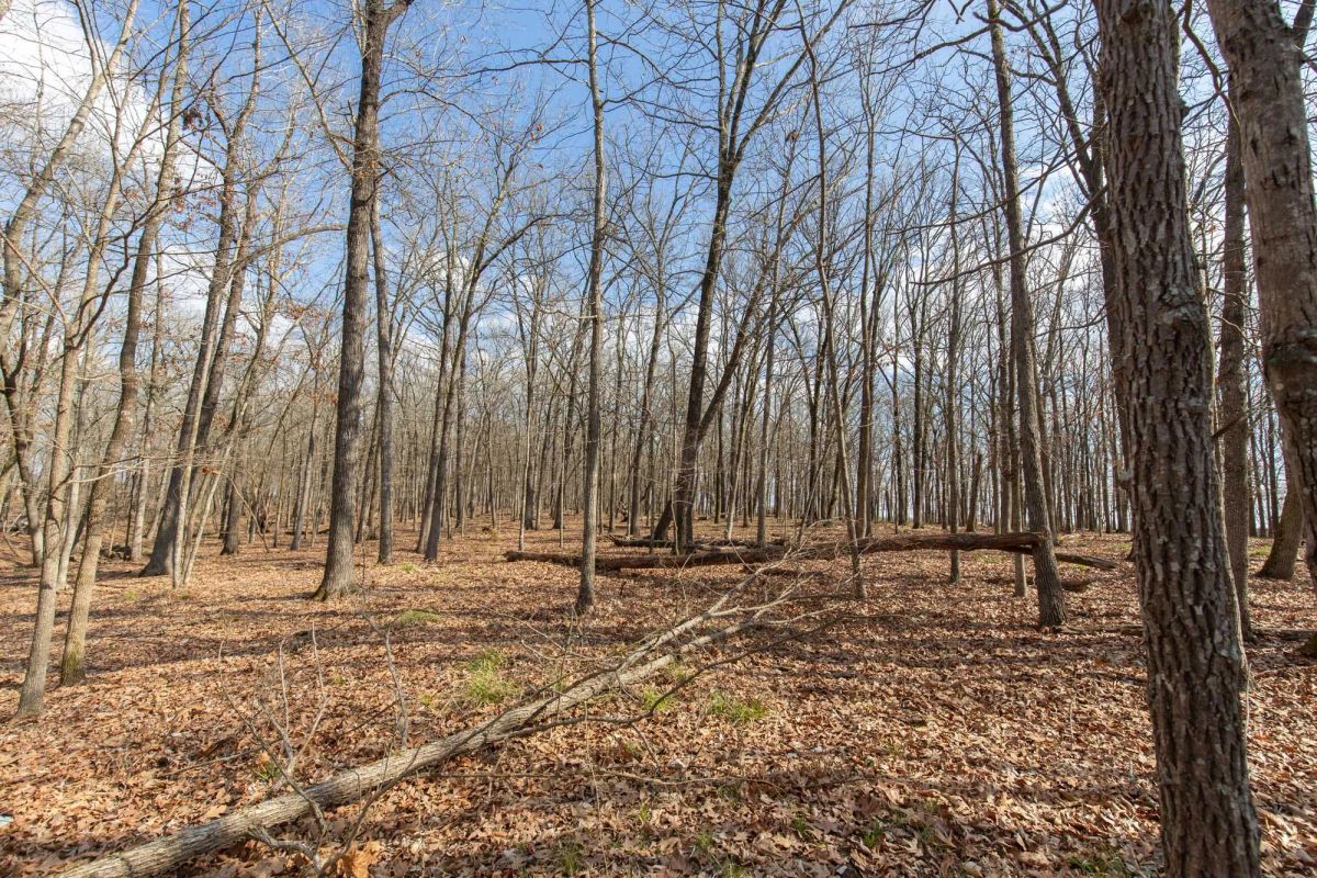 Decorative background for Wishing Star Ranch Tract 67 image 12