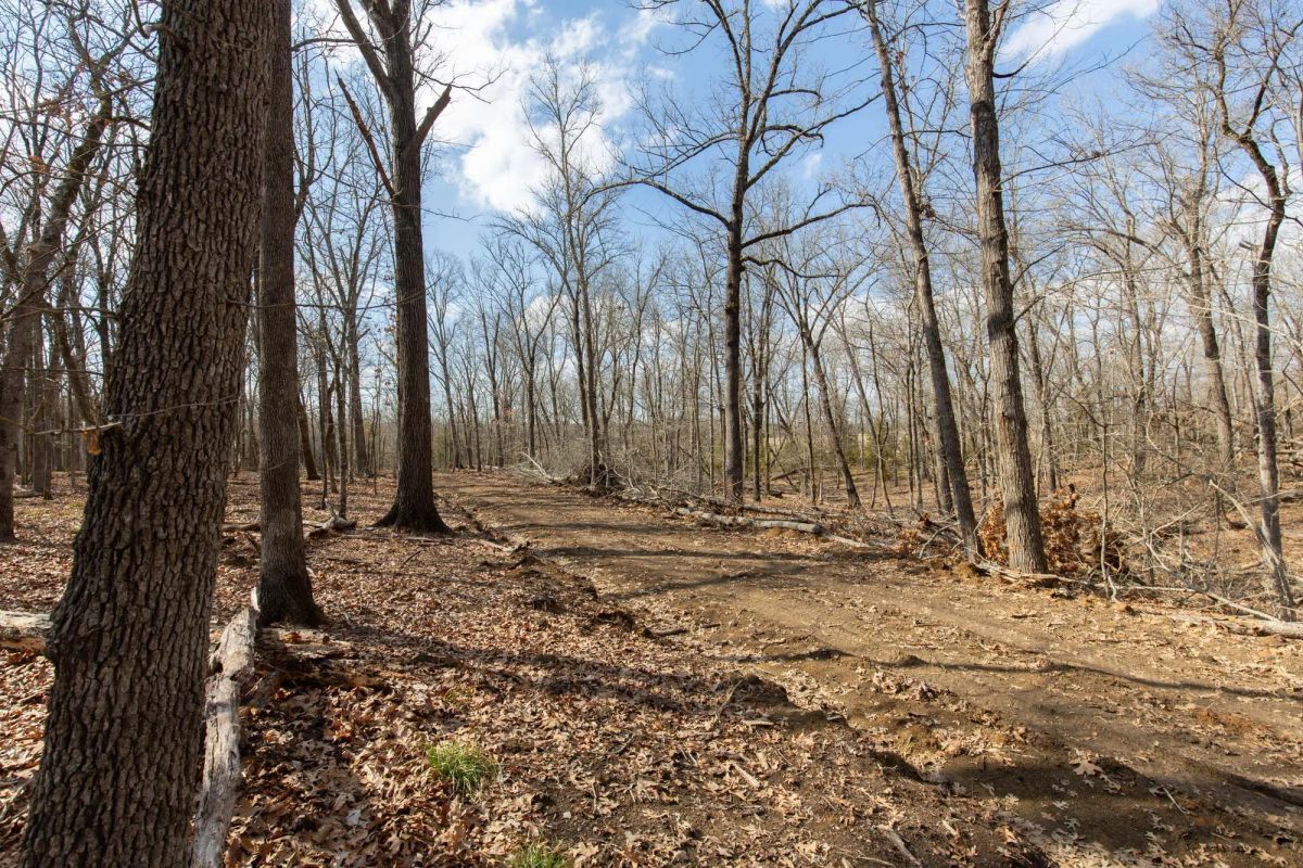 Decorative background for Wishing Star Ranch Tract 67 image 13