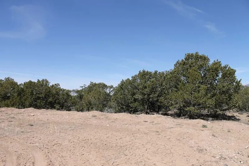 Sangre de Cristo Ranches Tract 4101 - Image 4