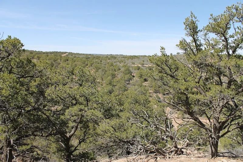 Decorative background for Sangre de Cristo Ranches Tract 4101 image 7