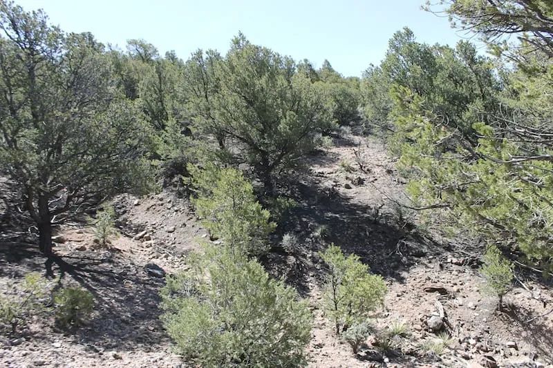 Decorative background for Sangre de Cristo Ranches Tract 4101 image 8