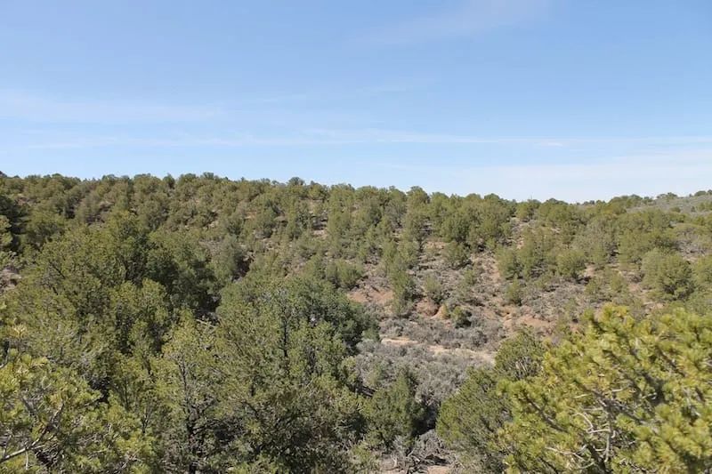 Decorative background for Sangre de Cristo Ranches Tract 4101 image 9