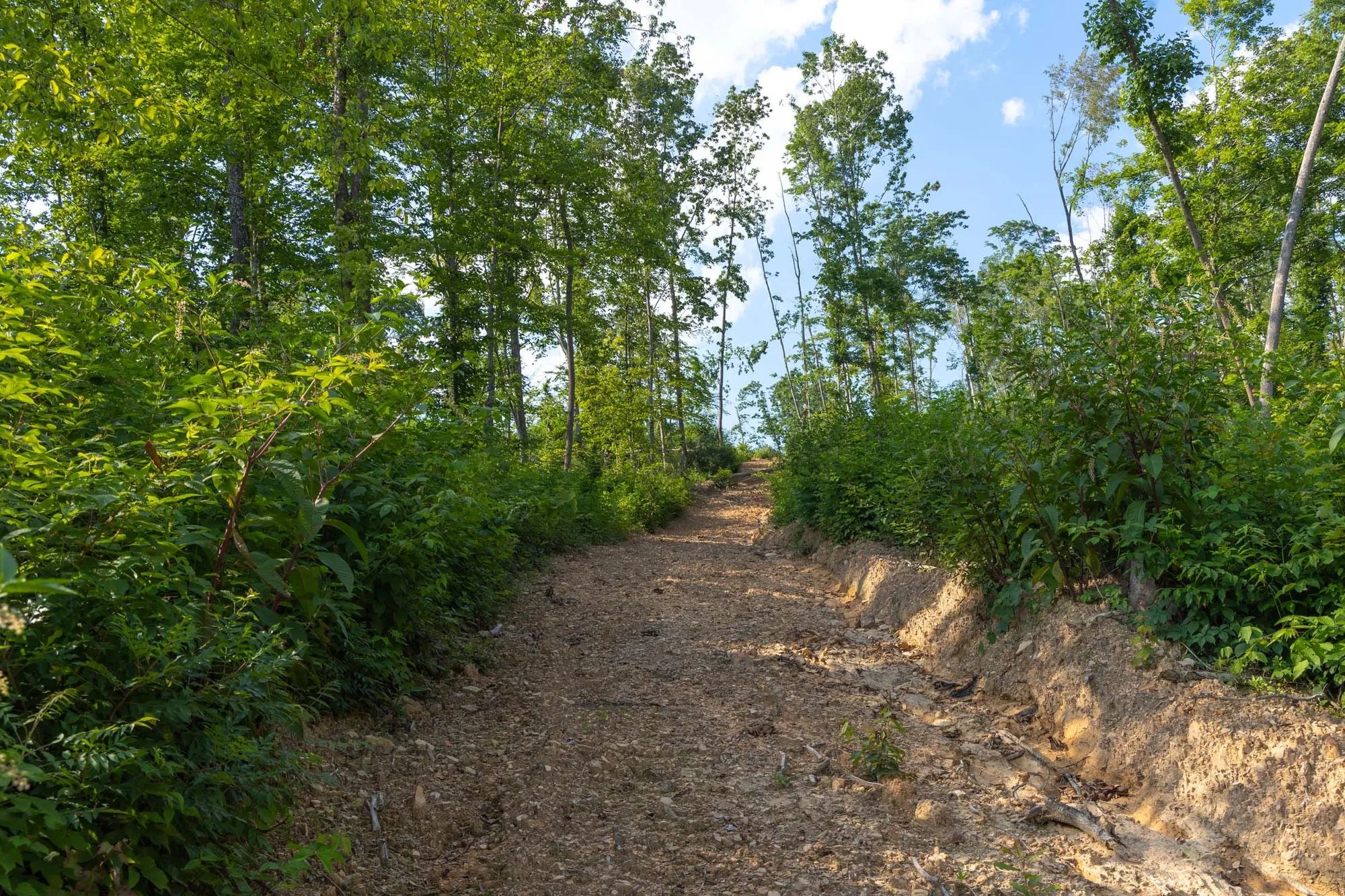 Creek Hollow Phase II Tract 82 in Rockcastle County, KY
