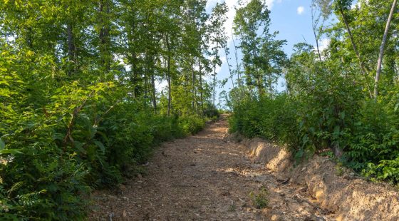 Creek Hollow Phase II Tract 82 in Rockcastle County, KY