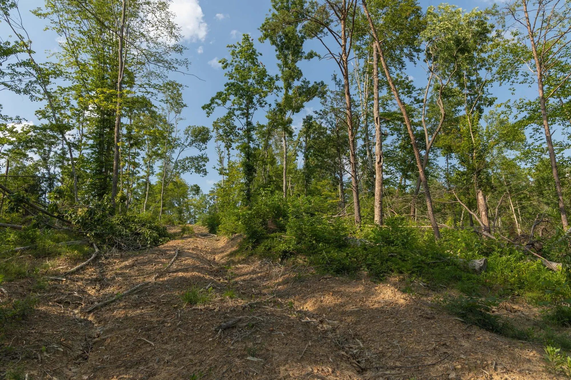 Creek Hollow Phase II Tract 82 in Rockcastle County, KY