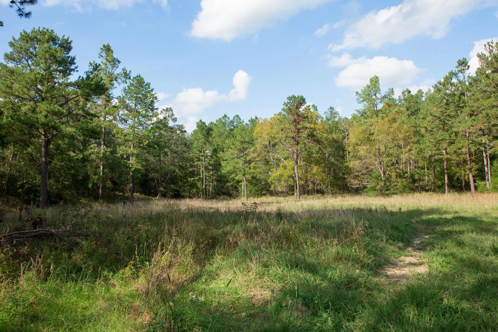 Wagon Wheel Ranch Tract 20 in Dent County, MO