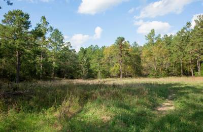 Wagon Wheel Ranch Tract 20