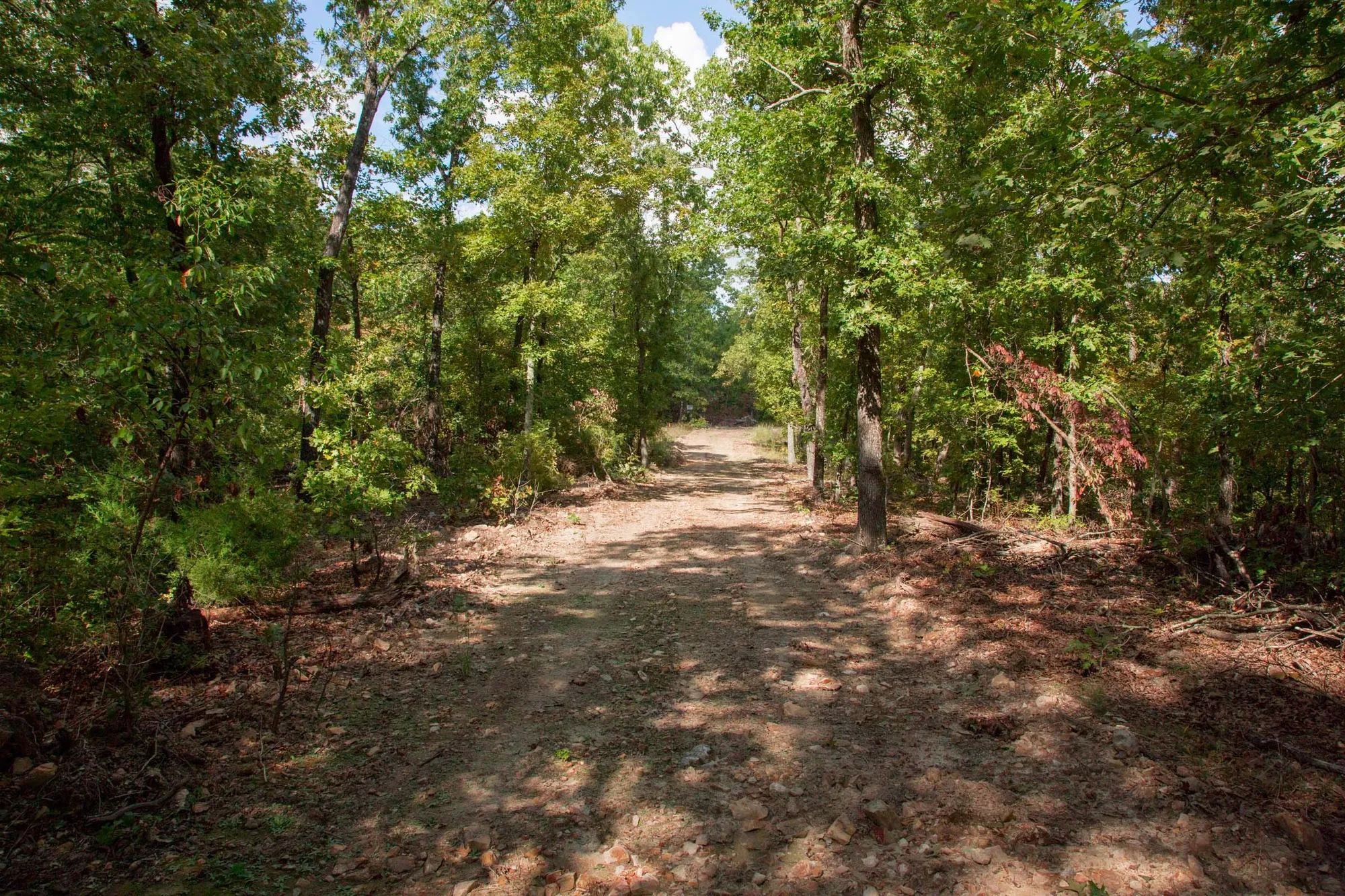Wagon Wheel Ranch Tract 20 in Dent County, MO