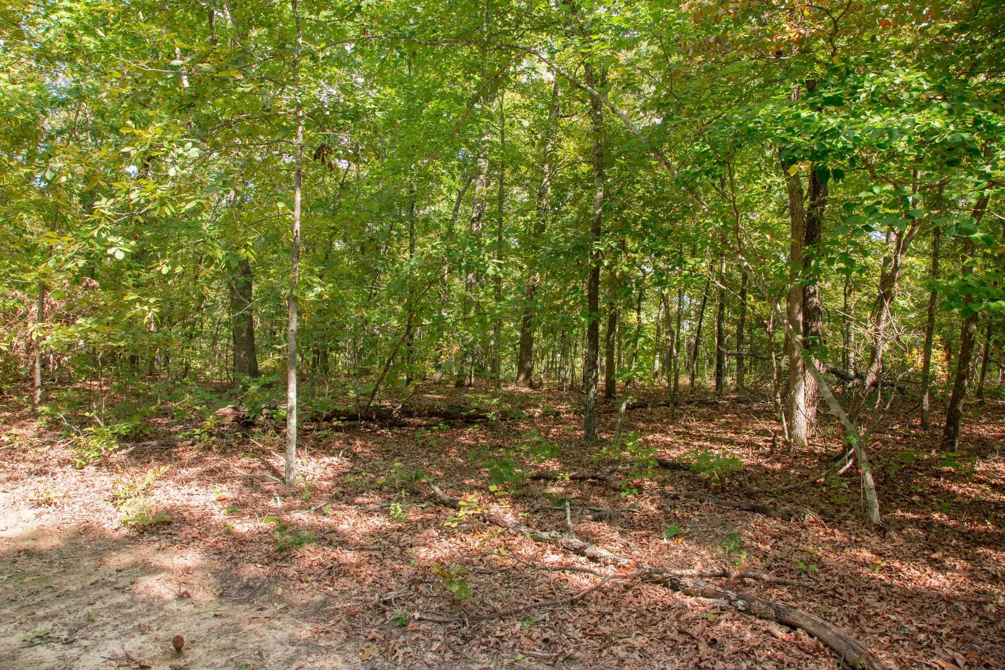 Wagon Wheel Ranch Tract 20 in Dent County, MO