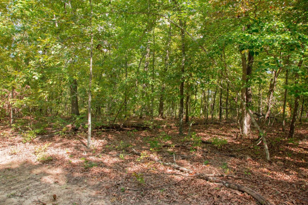 Wagon Wheel Ranch Tract 20 - Image 4