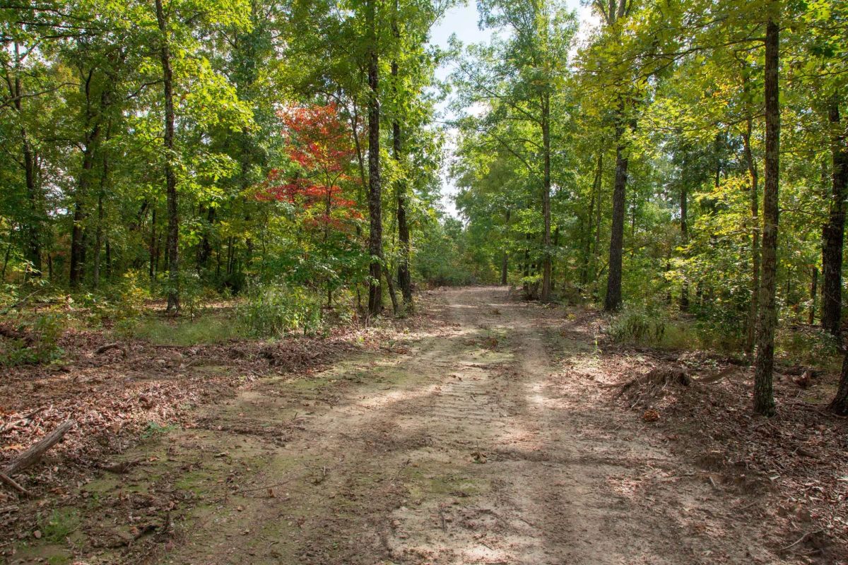 Decorative background for Wagon Wheel Ranch Tract 20 image 7
