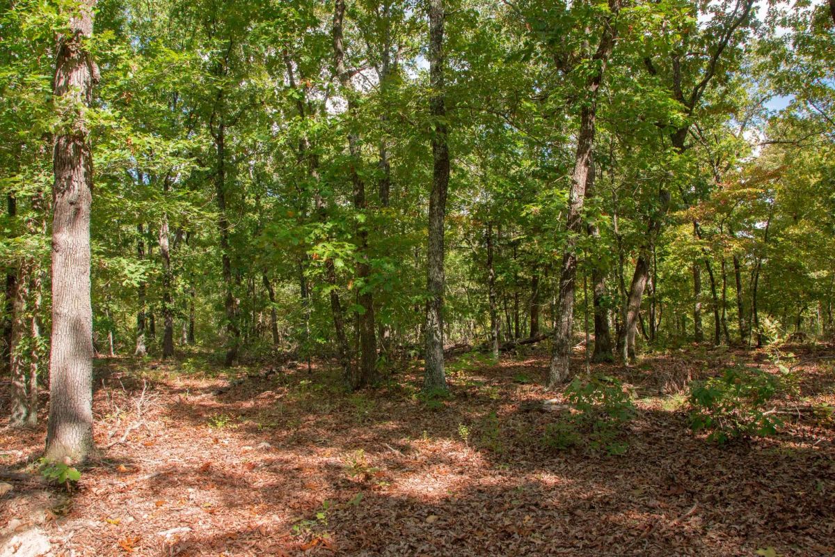 Decorative background for Wagon Wheel Ranch Tract 20 image 8