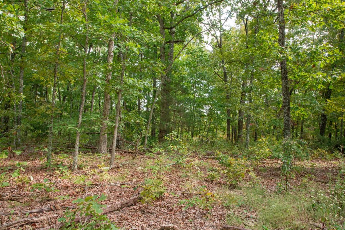 Decorative background for Wagon Wheel Ranch Tract 20 image 9