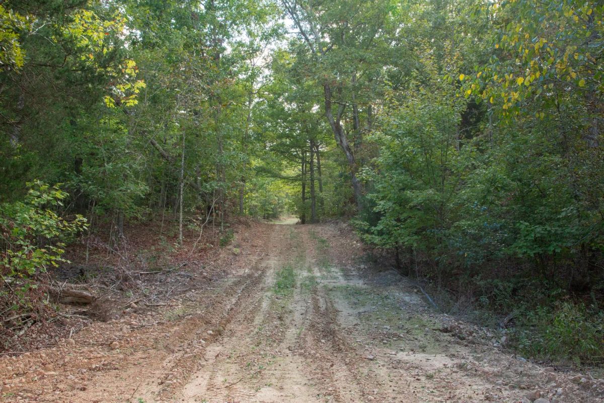 Decorative background for Wagon Wheel Ranch Tract 20 image 11