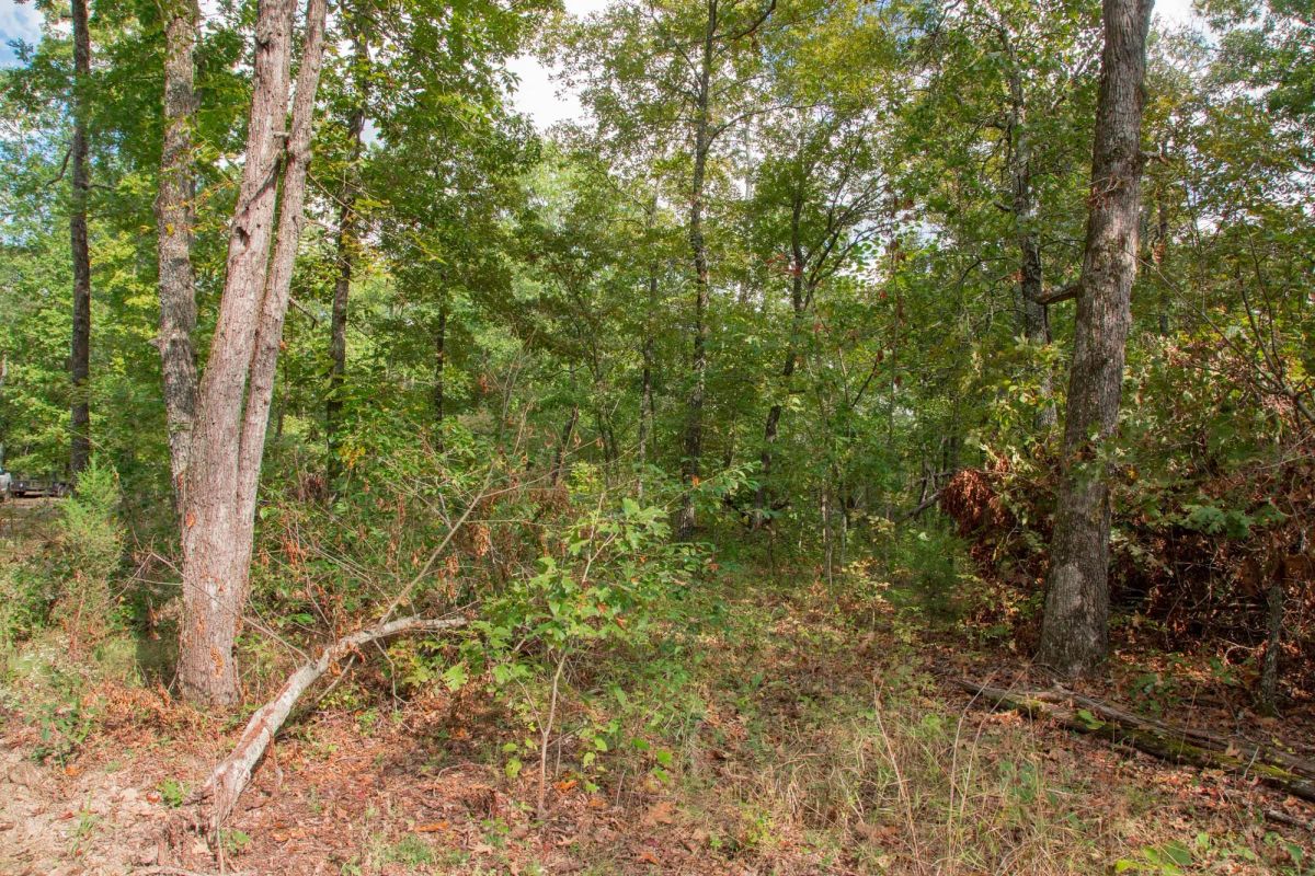 Decorative background for Wagon Wheel Ranch Tract 20 image 12