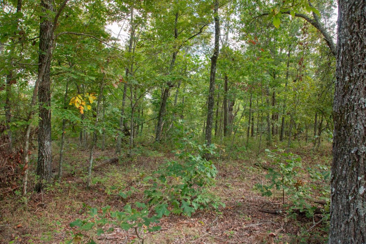 Decorative background for Wagon Wheel Ranch Tract 20 image 13