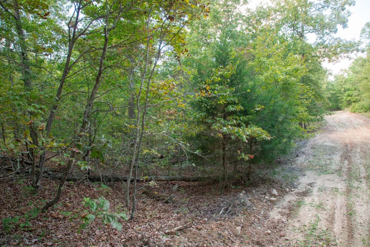 Decorative background for Wagon Wheel Ranch Tract 20 image 15