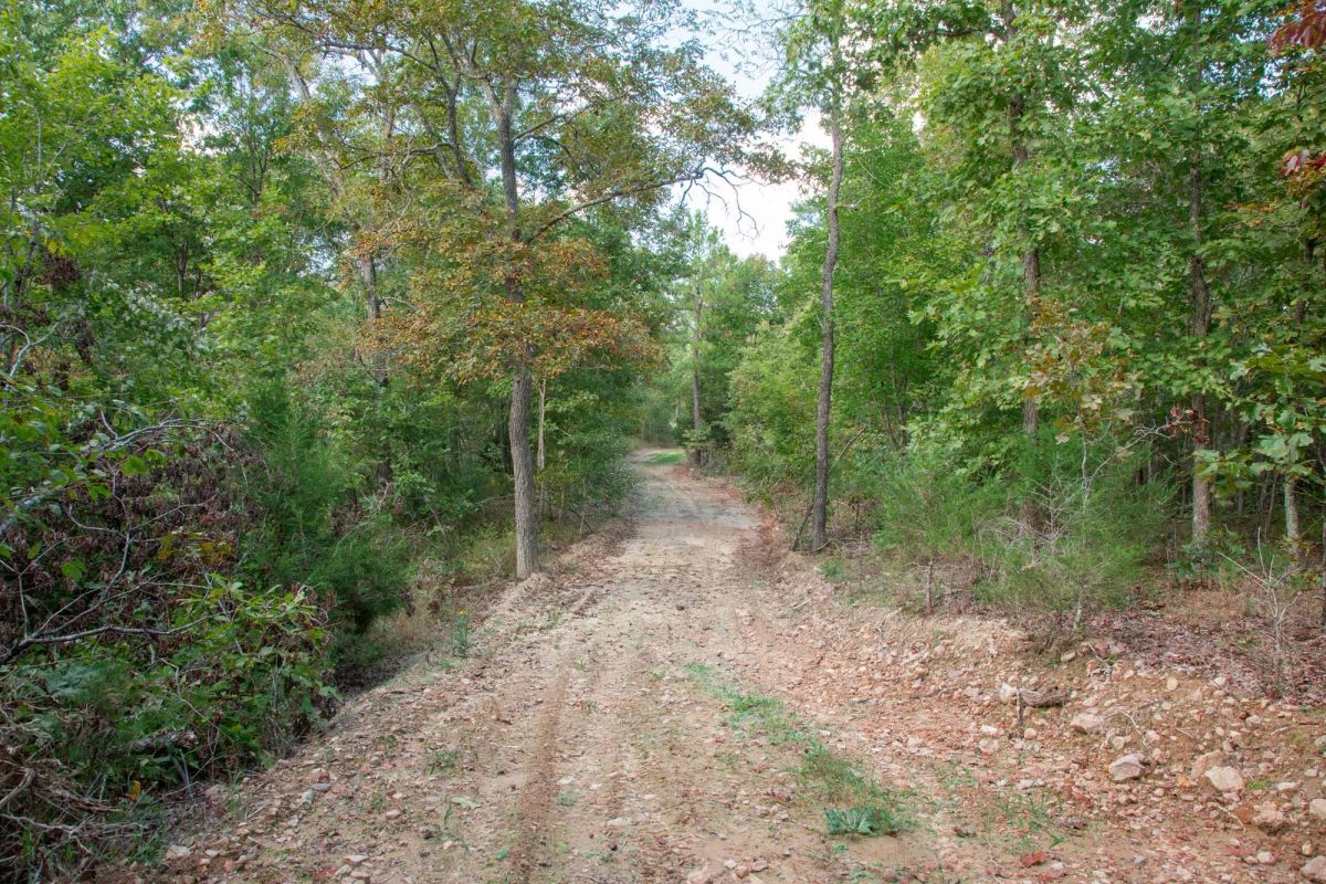 Decorative background for Wagon Wheel Ranch Tract 20 image 16