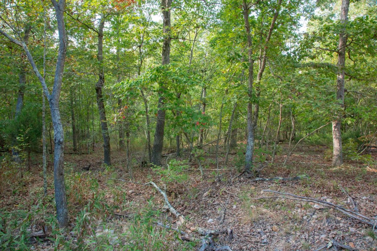 Decorative background for Wagon Wheel Ranch Tract 20 image 17