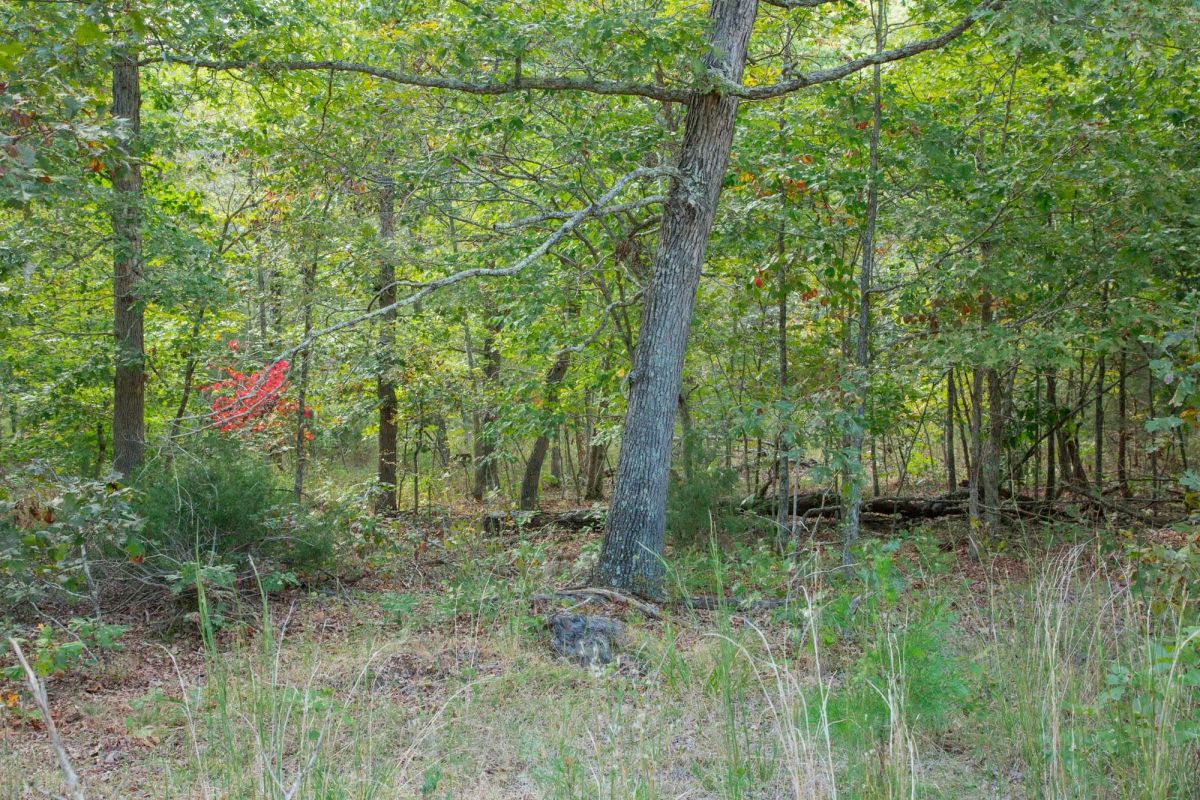 Decorative background for Wagon Wheel Ranch Tract 20 image 18