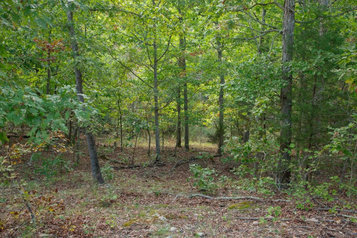 Decorative background for Wagon Wheel Ranch Tract 20 image 20