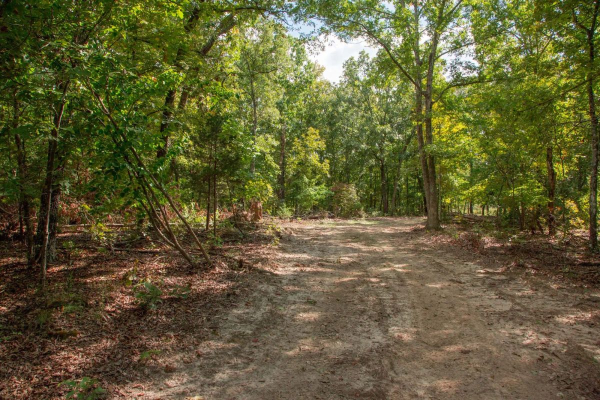 Decorative background for Wagon Wheel Ranch Tract 20 image 21