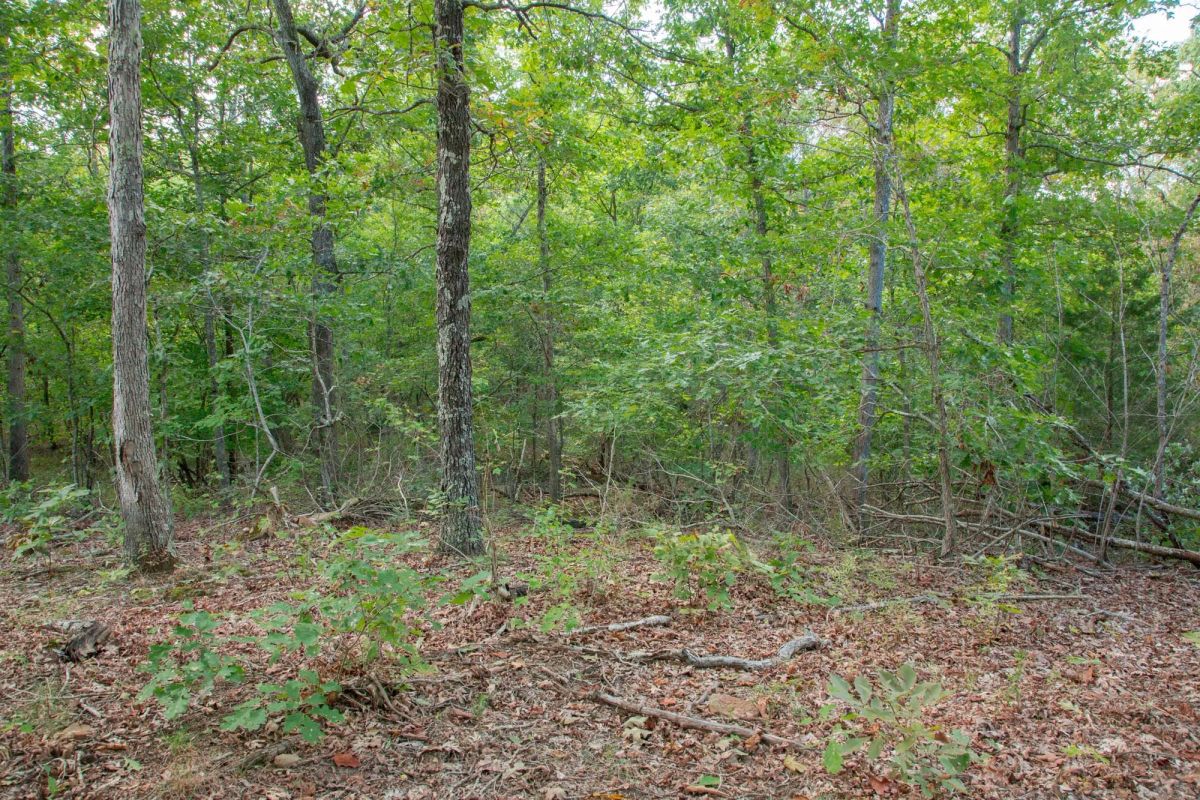 Decorative background for Wagon Wheel Ranch Tract 20 image 22