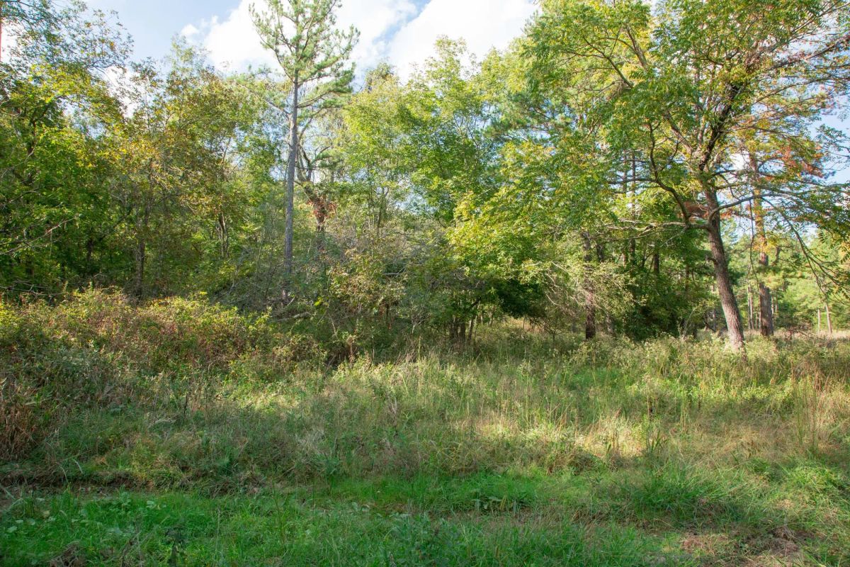 Decorative background for Wagon Wheel Ranch Tract 20 image 28