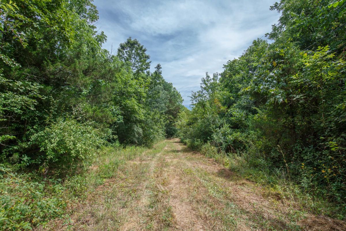 Spring Lake Plat 1 Tract 25 - Main image