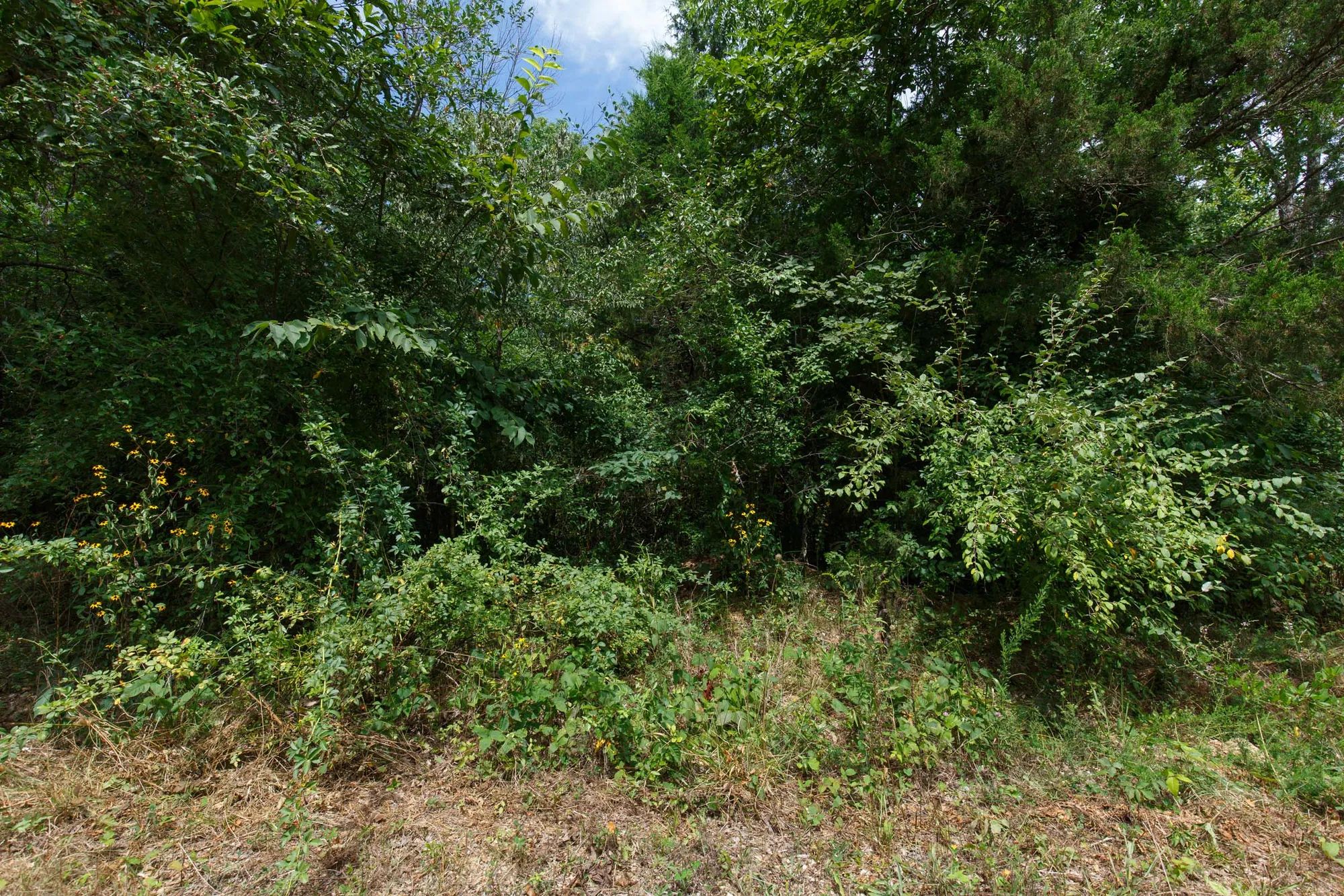 Spring Lake Plat 1 Tract 25 in Miller County, MO