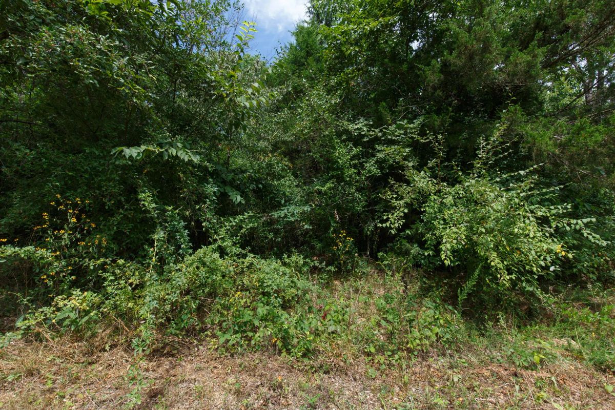 Spring Lake Plat 1 Tract 25 - Image 2