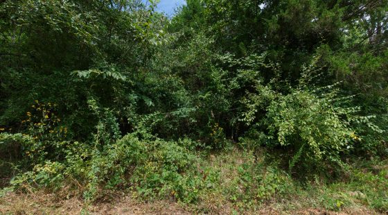 Spring Lake Plat 1 Tract 25 in Miller County, MO