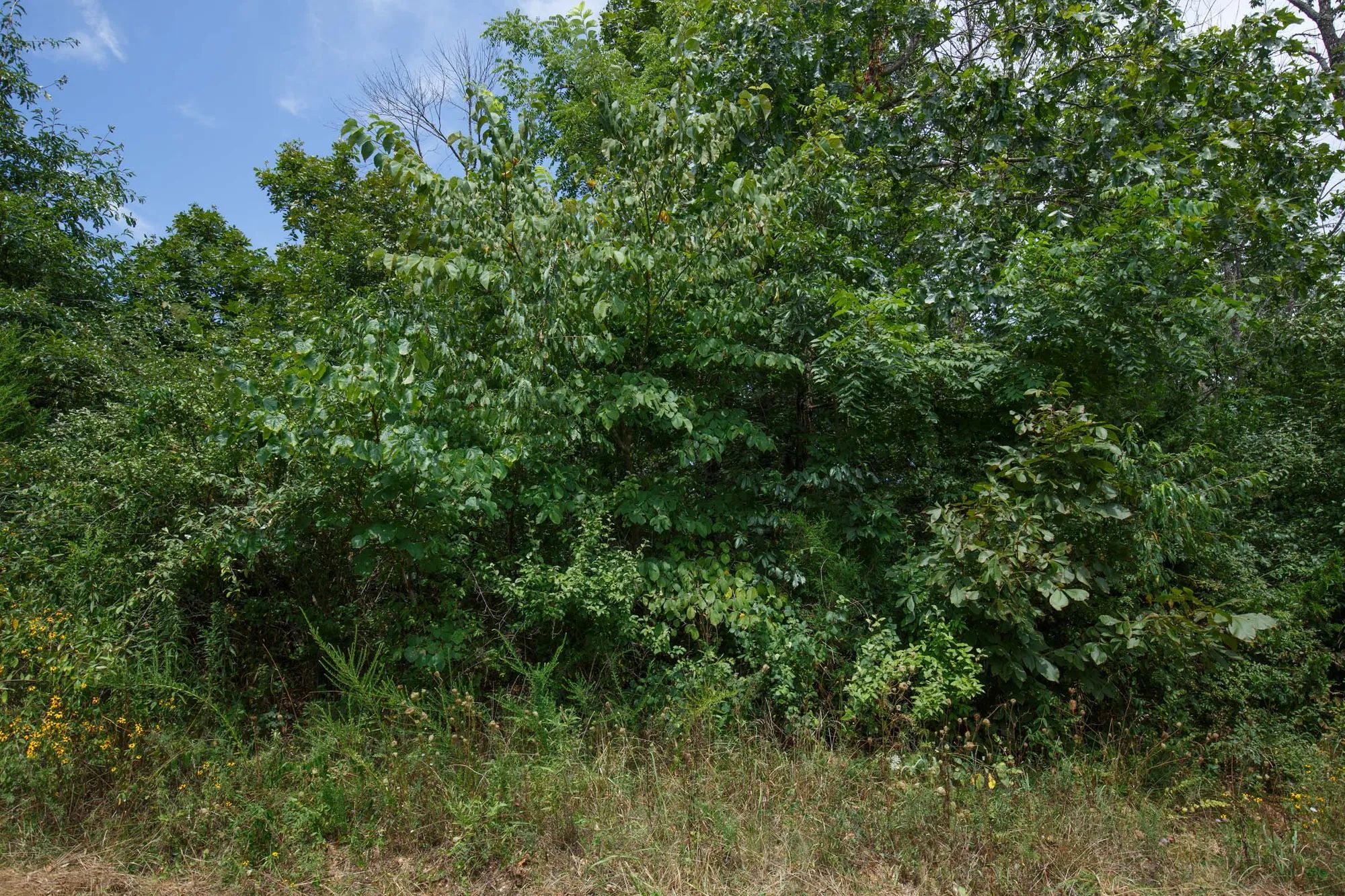 Spring Lake Plat 1 Tract 25 in Miller County, MO