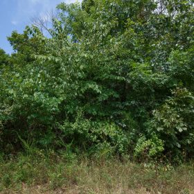 Spring Lake Plat 1 Tract 25 in Miller County, MO