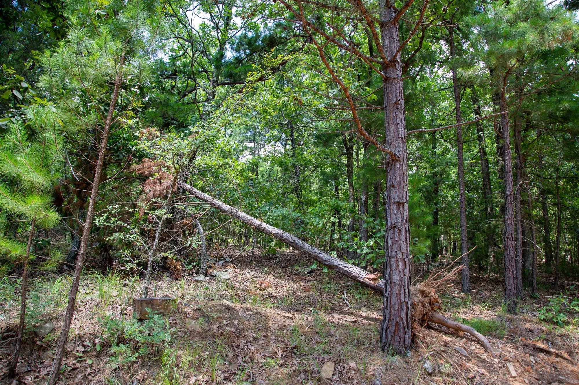 Tyler Stone Ranch Tract 62 in Le Flore County, OK