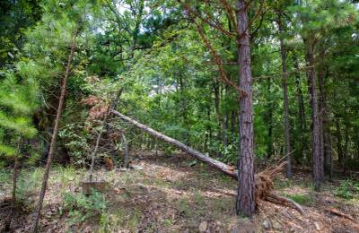 Tyler Stone Ranch Tract 62