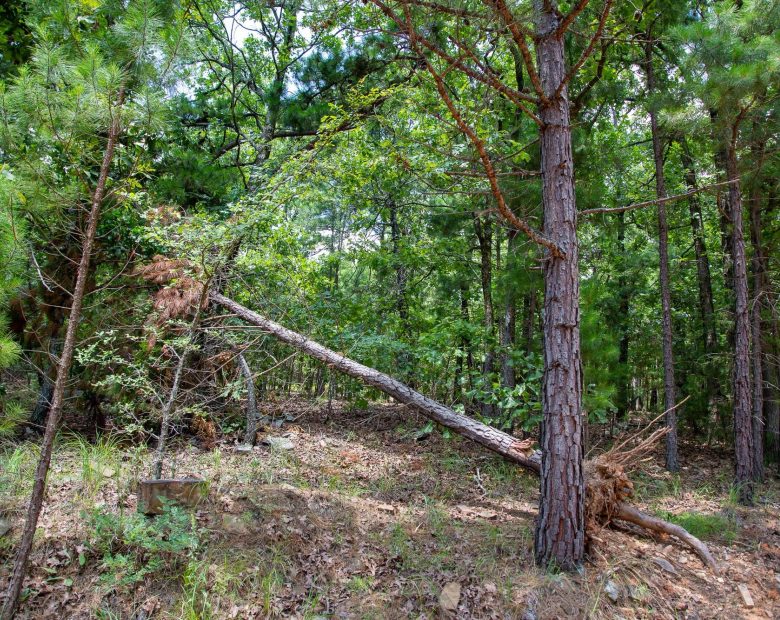 Tyler Stone Ranch Tract 62 in Le Flore County, OK